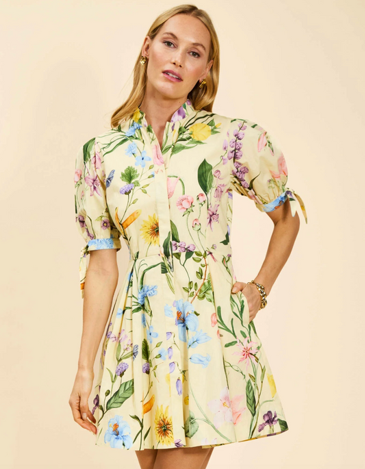 Mestiza Brooklyn Mini Dress