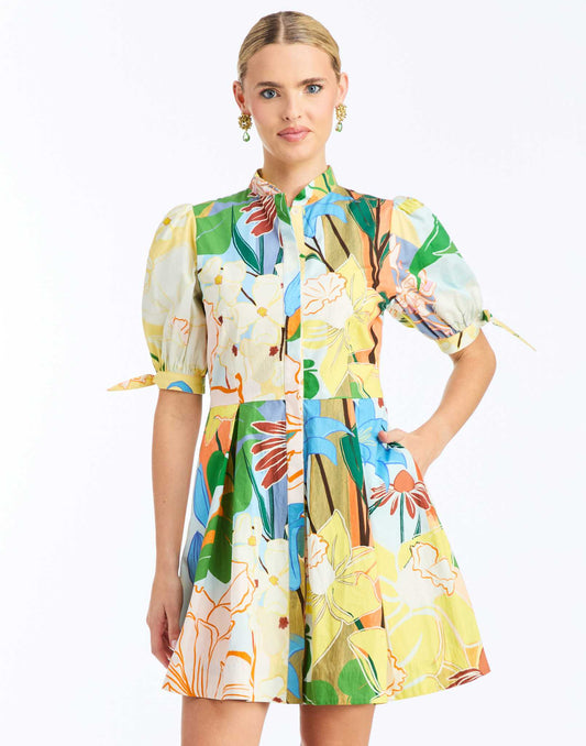 Mestiza NY Brooklyn Mini Dress Primrose