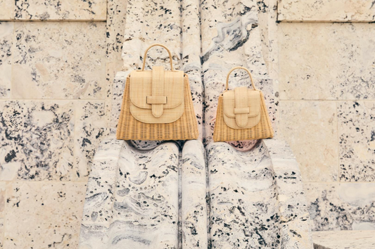 Pamela Munson the Lady Bag in Raffia