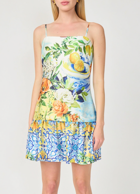Gilner Farrar Soraya Dress